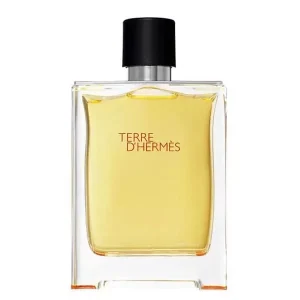 عطر ادکلن هرمس تق هرمس | Hermes Terre d’Hermes 100ml